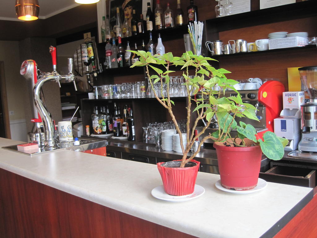 Hotel Restaurant Rive Gauche Bessines-sur-Gartempe Værelse billede